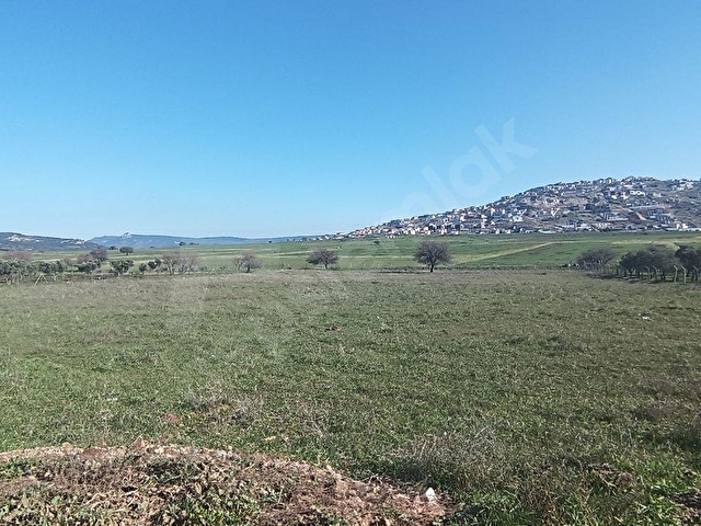 YENİBAĞARASI ANAYOLA YAKIN, 7 HİSSEDAR KOOPERATİFE UYGUN TARLA - Görsel 15