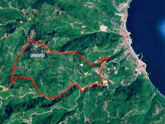 Ordu Bolatlıda 2 Adet Satılık Fındık Bahçesi Denize 3.5 km - Görsel 5
