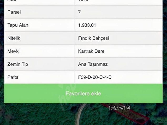Ordu Bolatlıda 2 Adet Satılık Fındık Bahçesi Denize 3.5 km - Görsel 2
