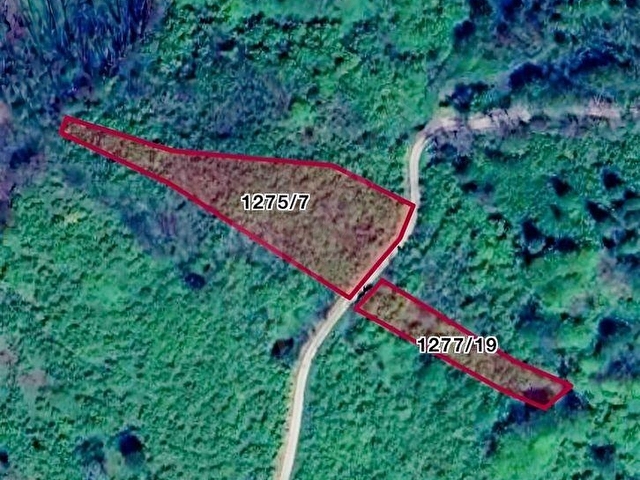 Ordu Bolatlıda 2 Adet Satılık Fındık Bahçesi Denize 3.5 km