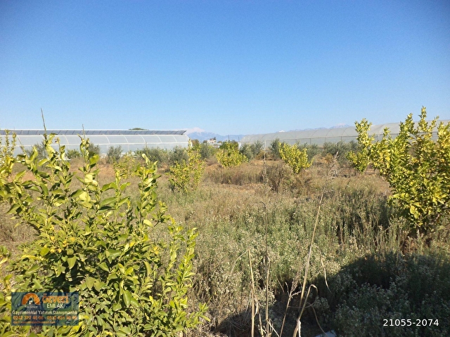 Antalya Aksu Kursunlu Da 2307 Metrekare Satilik Arsa 21055 2074 Hurriyet Emlak
