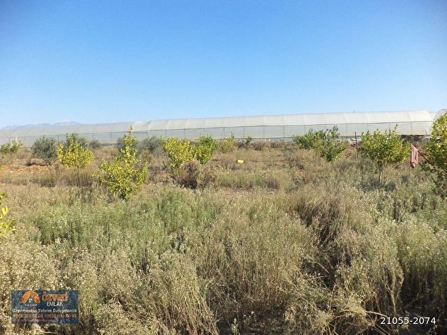 Antalya Aksu Kursunlu Da 2307 Metrekare Satilik Arsa 21055 2074 Hurriyet Emlak