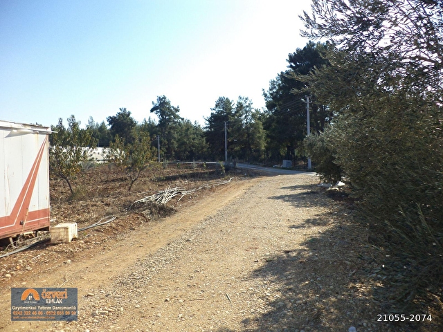 Antalya Aksu Kursunlu Da 2307 Metrekare Satilik Arsa 21055 2074 Hurriyet Emlak