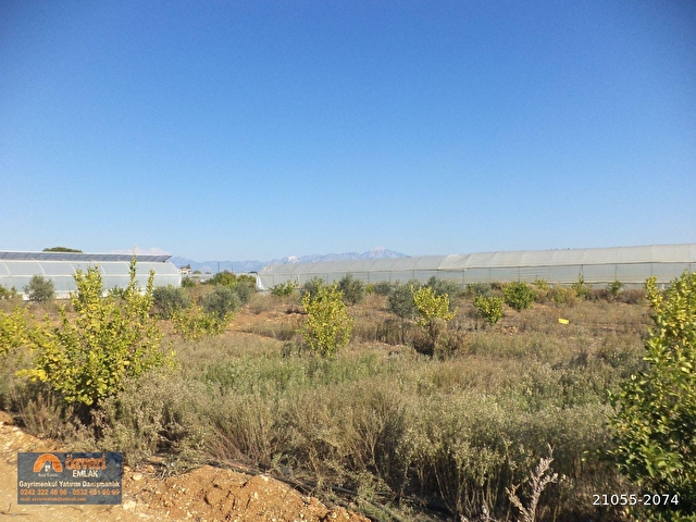 Antalya Aksu Kursunlu Da 2307 Metrekare Satilik Arsa 21055 2074 Hurriyet Emlak