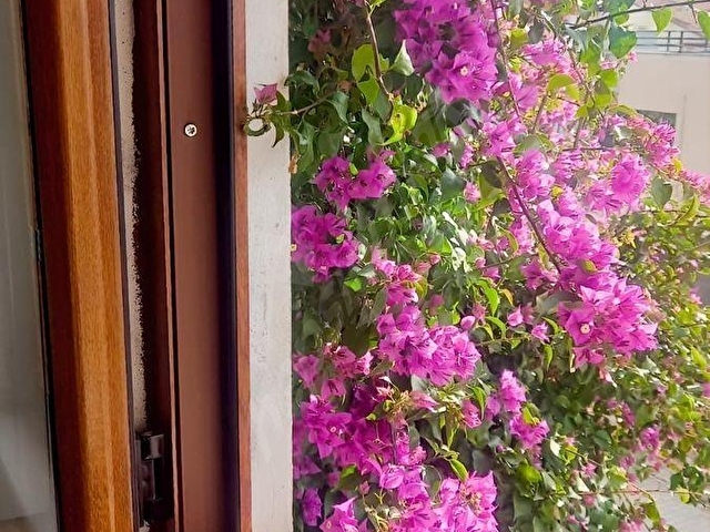 ÖĞRETMENLER MAH. DENİZE YAKIN 2+1 MASRAFSIZ DAİRE .FİAT DÜŞTÜ - Görsel 12