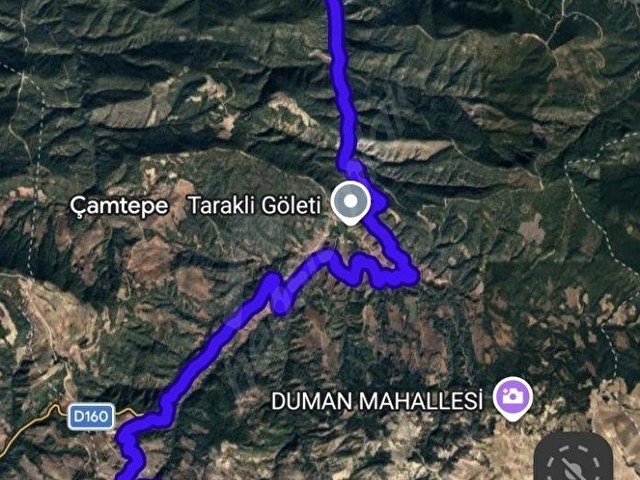 Adaplatinden Taraklı Pirlerde 7022m2 ceviz fidanı dikili tarla - Görsel 14