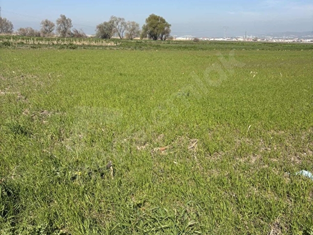 BALCİTY-Altıeylül/Karaman Mah.Yanyana 2 Adet Tek Tapu-Tek Fiyat - Görsel 29