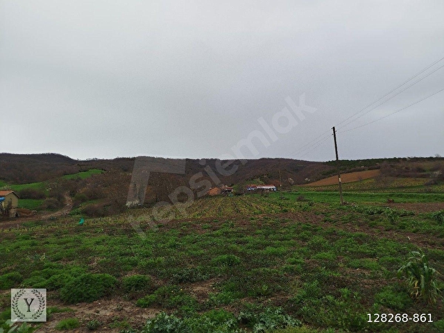 Şarköy Yörgüç 3.300 Dönüm Satılık Arsa - Görsel 13