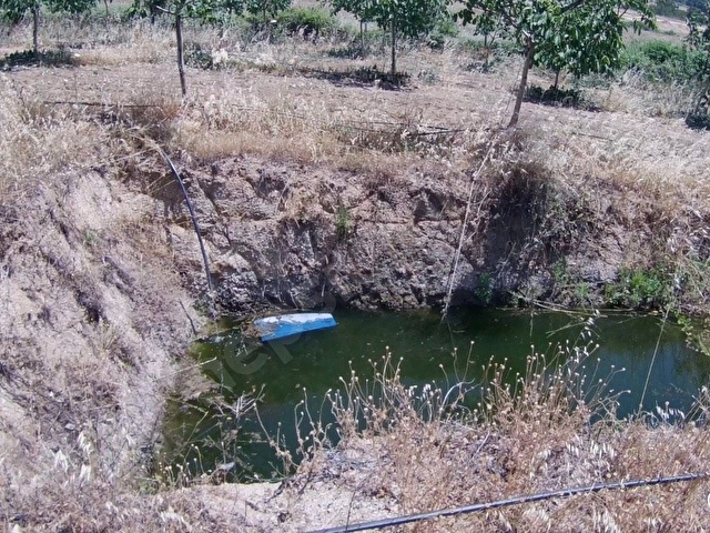 KAZDAĞLARI ÇANAKKALE BAYRAMİÇ SARIOT KÖYÜ 5 DÖNÜM - Görsel 4