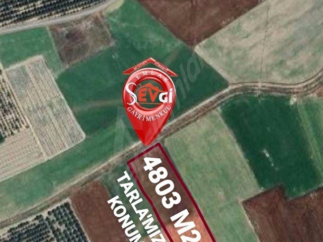 ELMALI BAYRALARDA YOLA SIFIR, SUYU OLAN, 4800 m² TARLAMIZ SATILIKTIR - Görsel 3