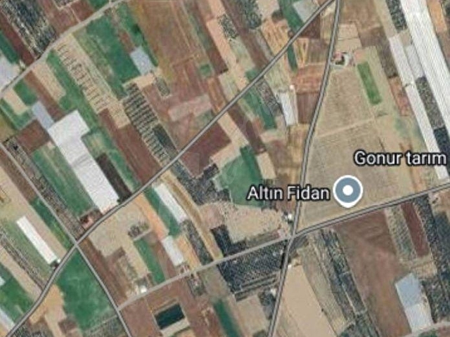 ELMALI BAYRALARDA YOLA SIFIR, SUYU OLAN, 4800 m² TARLAMIZ SATILIKTIR - Görsel 2