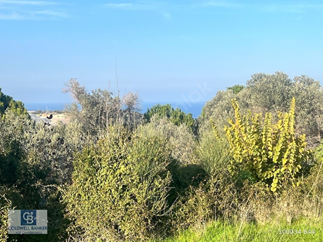 Karaburun Mordoğan Azmak Mevkiinde Deniz Manzaralı Tarla - Görsel 16