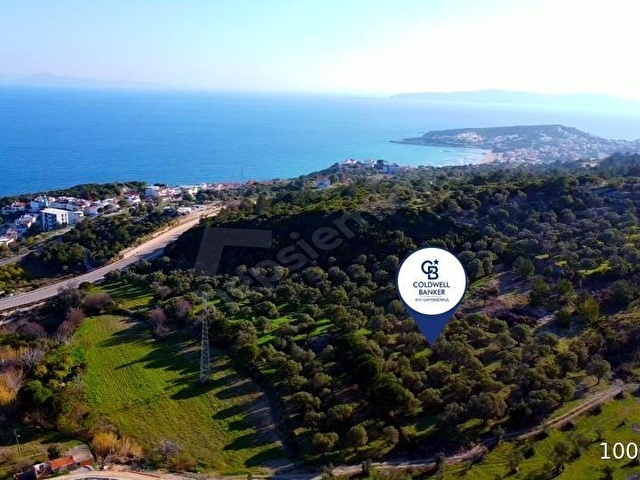 Karaburun Mordoğan Azmak Mevkiinde Deniz Manzaralı Tarla - Görsel 4