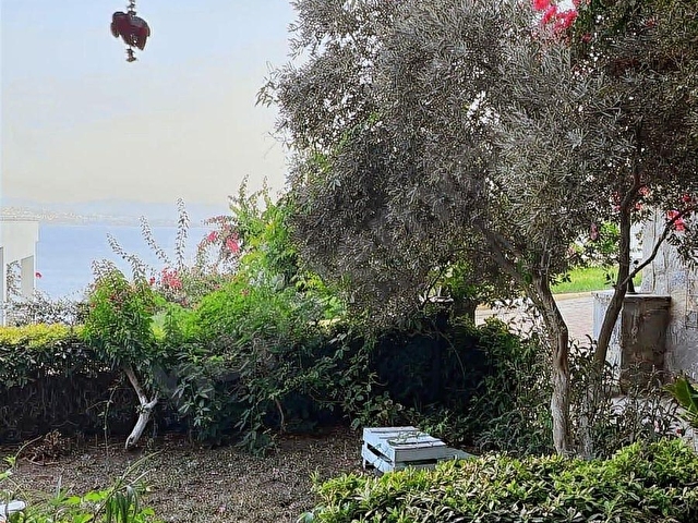 KIYIKIŞLACIK ZEYTİNLİKUYU İASSOS BEACH CLUB TATİL SİTESİNDE - Görsel 23