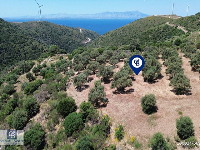 Sarpıncıkta 5437 m² Yatırımlık Tarla&Üzüm Bağı - Görsel 13