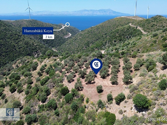 Sarpıncıkta 5437 m² Yatırımlık Tarla&Üzüm Bağı - Görsel 5