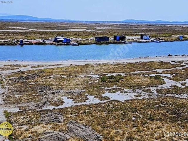 Foça Yeni Bağarasında  Satılık Tarla - Görsel 5