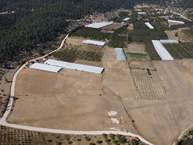 ALİ TOSUNDAN KAŞ (AKÖRÜ ÇİMBİR MEVKİİSİNDE ) 6.873 M2 MUHTEŞEM ARAZİMİZ - Görsel 27