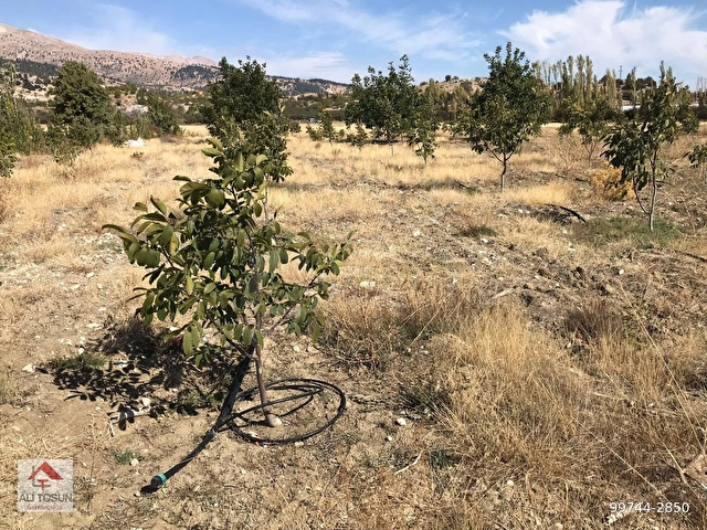 ALİ TOSUNDAN KAŞ (AKÖRÜ ÇİMBİR MEVKİİSİNDE ) 6.873 M2 MUHTEŞEM ARAZİMİZ - Görsel 15