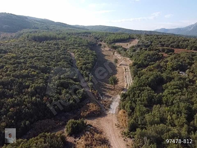 Muğla Ula da 12.000m2 Profesyonel Dizayn Fırsat Arazi - Görsel 22