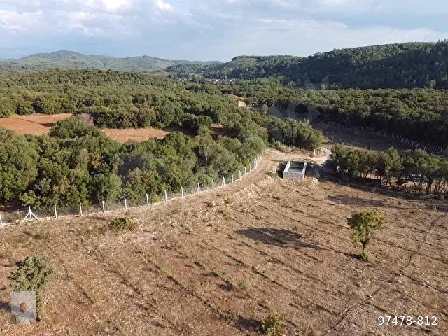Muğla Ula da 12.000m2 Profesyonel Dizayn Fırsat Arazi - Görsel 14