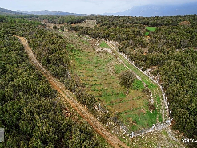 Muğla Ula da 12.000m2 Profesyonel Dizayn Fırsat Arazi - Görsel 27