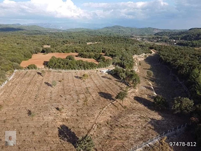 Muğla Ula da 12.000m2 Profesyonel Dizayn Fırsat Arazi - Görsel 16
