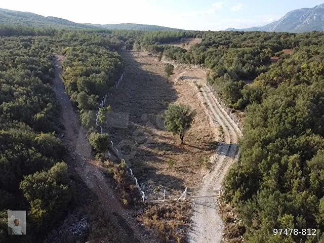 Muğla Ula da 12.000m2 Profesyonel Dizayn Fırsat Arazi - Görsel 21