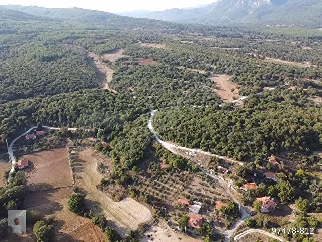 Muğla Ula da 12.000m2 Profesyonel Dizayn Fırsat Arazi - Görsel 23