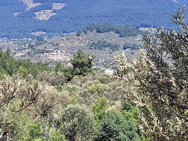 SATILIK DENİZ VE ADALAR MANZARALI ZEYTİNLİK EDREMİT YAYLAÖNÜ - Görsel 2