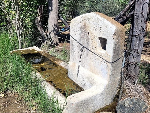 SATILIK DENİZ VE ADALAR MANZARALI ZEYTİNLİK EDREMİT YAYLAÖNÜ - Görsel 6