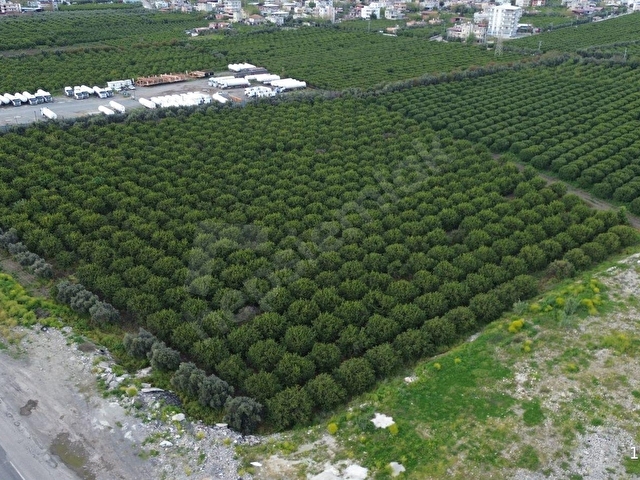 TÜRKZADE EMLAKTAN E5 YOLA CEPHELİ SANAYİ İMARLI BAHÇE