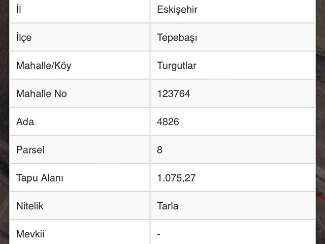 HATİCE KARAdan TURGUTLAR MAH.DE SATILIK TARLA BAHÇE - Görsel 11