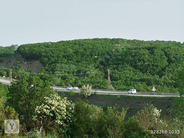 Şarköy İshaklı 385m2 Satılık Arsa - Görsel 16
