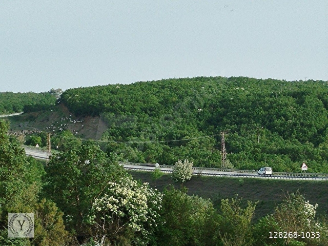 Şarköy İshaklı 385m2 Satılık Arsa - Görsel 19