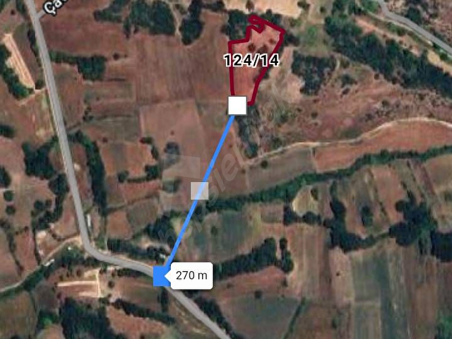 Sahibinden 5300m2 İnegöl Çavuşköyde fırsat - Görsel 2