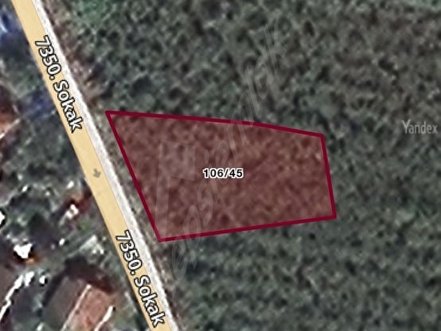Asfalt Yola Cepheli, Villa Yapımına Uygun Arsa
