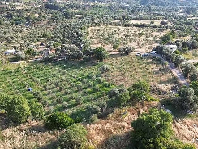 KÖY YERLEŞİM ALANI FULL YOLA CEPHE - Görsel 3