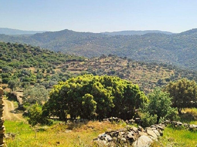 ACIL  ÇİNE OVACIK KOYÜ 3000 M2 IMARLA ARSA - Görsel 2