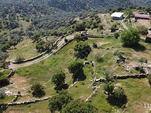 ACIL  ÇİNE OVACIK KOYÜ 3000 M2 IMARLA ARSA - Görsel 5