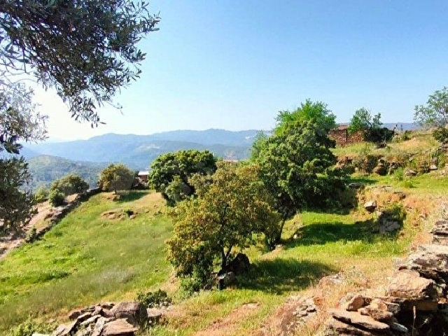 ACIL  ÇİNE OVACIK KOYÜ 3000 M2 IMARLA ARSA - Görsel 12