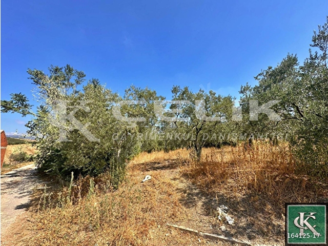 ÇELİK EMLAKTAN YENİ YENİCE MAH KÖY İÇİ 1200 M2 SATILIK ARSA!!!!! - Görsel 4
