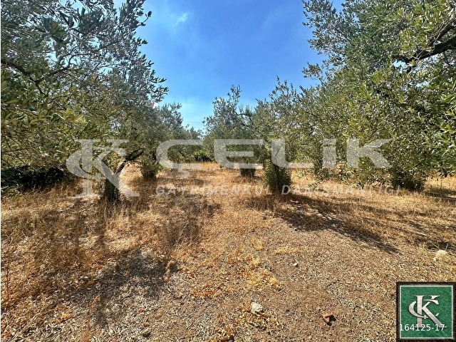 ÇELİK EMLAKTAN YENİ YENİCE MAH KÖY İÇİ 1200 M2 SATILIK ARSA!!!!! - Görsel 7