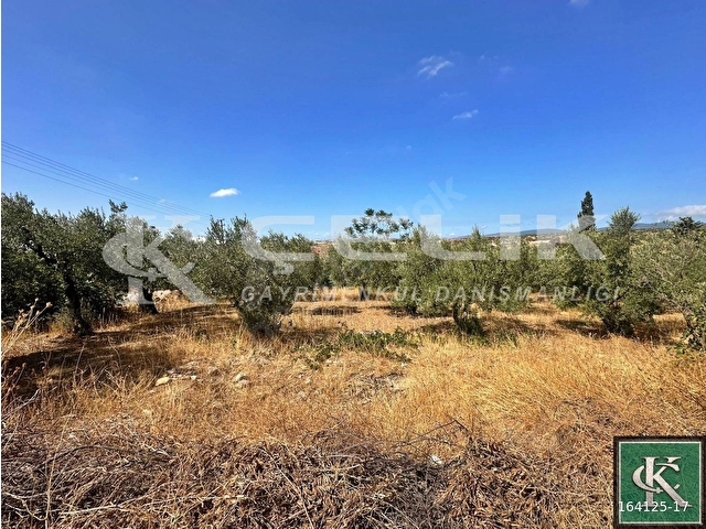 ÇELİK EMLAKTAN YENİ YENİCE MAH KÖY İÇİ 1200 M2 SATILIK ARSA!!!!! - Görsel 11