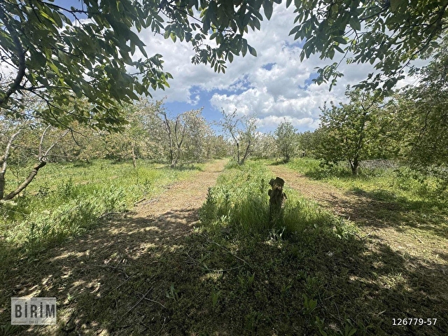 BİRİM EMLAKTAN SATILIK 8.500M2 ELEKTRİK SU YOL MEVCUT ATAKENTTE - Görsel 23