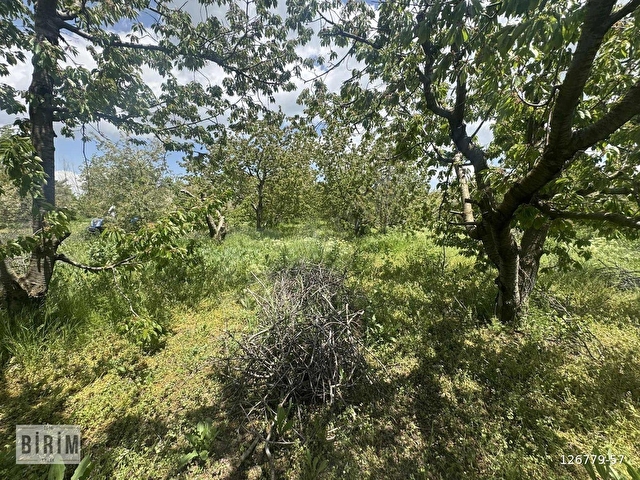 BİRİM EMLAKTAN SATILIK 8.500M2 ELEKTRİK SU YOL MEVCUT ATAKENTTE - Görsel 12