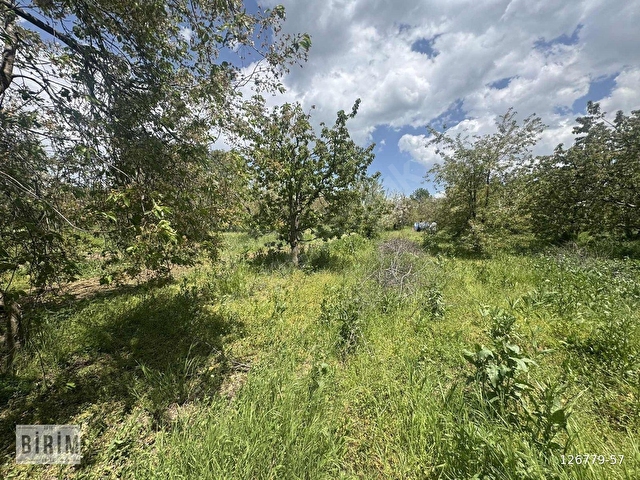 BİRİM EMLAKTAN SATILIK 8.500M2 ELEKTRİK SU YOL MEVCUT ATAKENTTE - Görsel 18