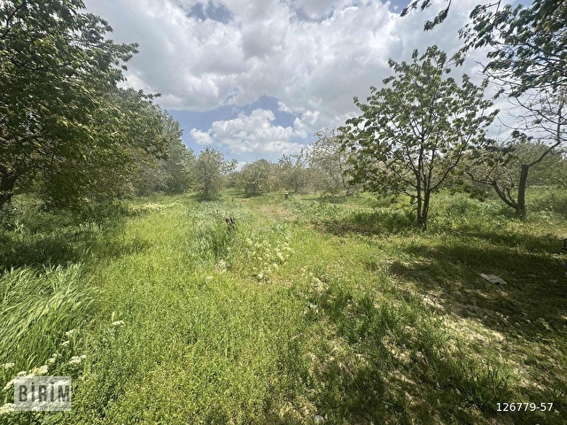 BİRİM EMLAKTAN SATILIK 8.500M2 ELEKTRİK SU YOL MEVCUT ATAKENTTE - Görsel 7