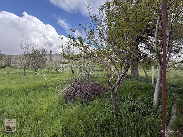 YAĞMUR EMLAKTAN SATILIK GÜMÜŞLERDE 1285m2 İÇERİSİNDE MÜSTAKİL EV - Görsel 26
