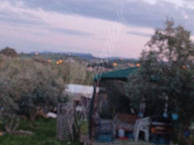 kiralık hobi bahceleri elektrik su yol sekizbin aylık 250m2 - Görsel 10
